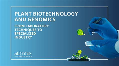 Plant biotechnology and genomics: from laboratory techniques to ...