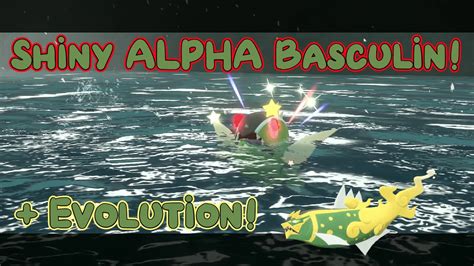 Shiny Alpha Basculin Evolution Pokemon Legends Arceus Youtube