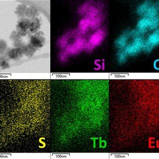 Stem Bright Field Image And Stem Eds Elemental Mapping Of Msn With