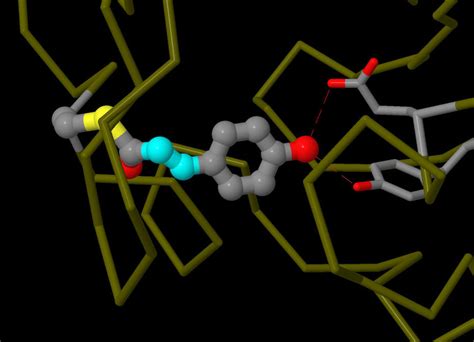 Pdb 101 Molecule Of The Month Photoactive Yellow Protein