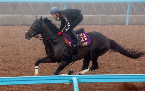 【ジャパンc】タイトルホルダーがラスト11秒3、栗田師「とにかくに無事に持っていければ」｜極ウマ・プレミアム