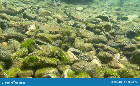 Lake Baikal. Underwater World Stock Video - Video of breaking, natural ...