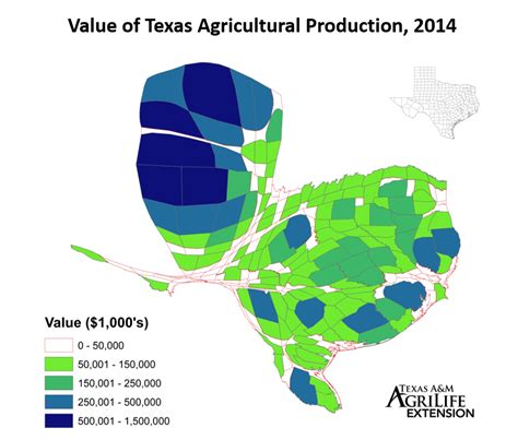 Value Of Texas Agricultural Production Samuel Zapata