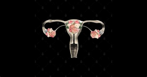 Floral Uterus Feminism Female Anatomy Uterus Sticker Teepublic