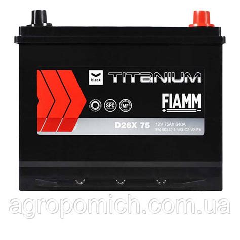 Fiamm Titanium Black Asia H R