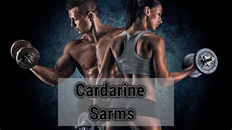 Cardarine Sarms For Sale Cardarine Gw Cycle Dosage Stack