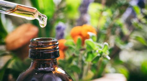 Uses Of Essential Oils In The Garden Gardeninguru