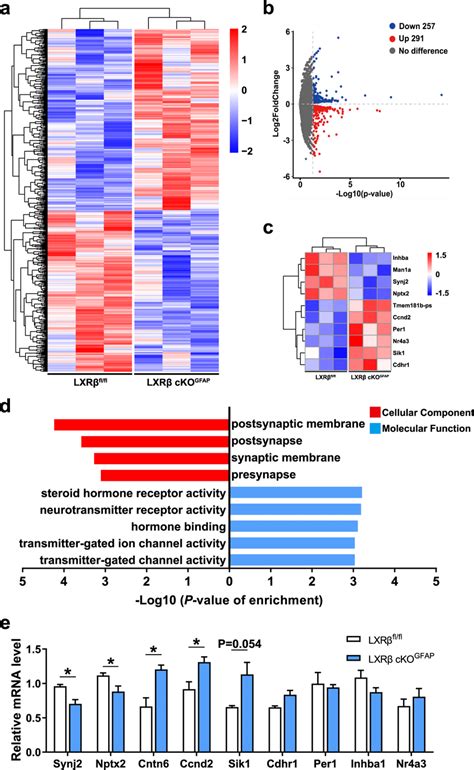 Differential expression profiling in the mPFC of LXRβ cKOGFAP and