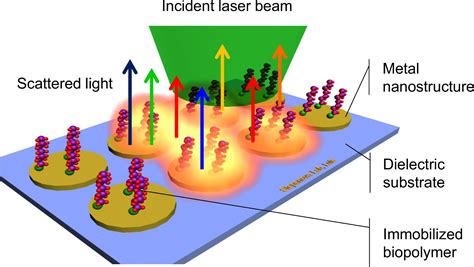 Surface Enhanced Raman Spectroscopy Detection Of Biomolecules Using Ebl Fabricated