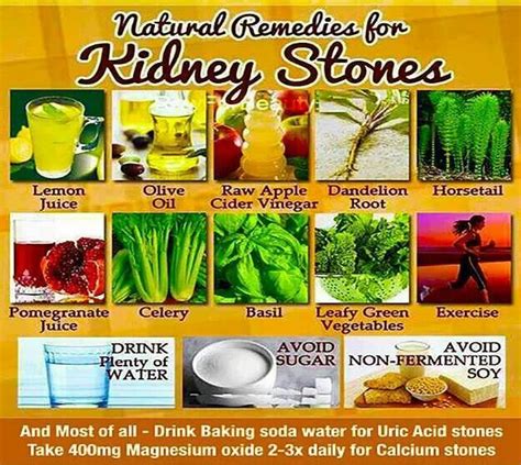 Home Remedies For Kidney Stones Herbal Remedies