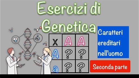 Esercizi Di Genetica Umana Leggi Di Mendel E Quadrato Di Punnett