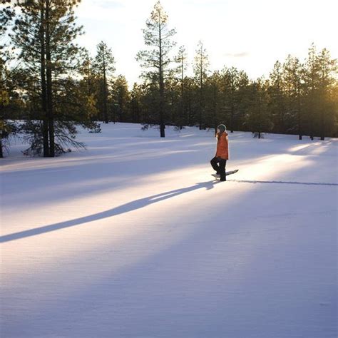 Winter Activities in Flagstaff | Arizona travel, Outdoors adventure ...