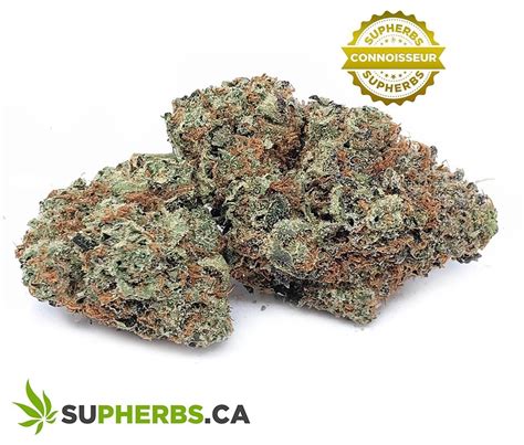 Sour Skittles - Supherbs - Canada Weed Delivery