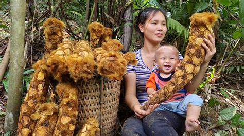 Single Mother Harvesting Fern Tubers To Sell At The Market With Her