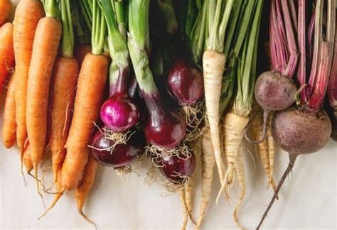 Easy Root Vegetable Storage Ideas That Need No Root Cellar