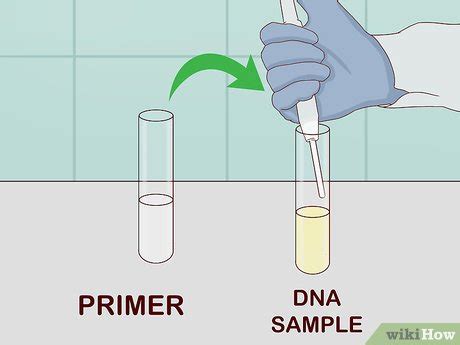 3 Ways to Determine Genotype - wikiHow