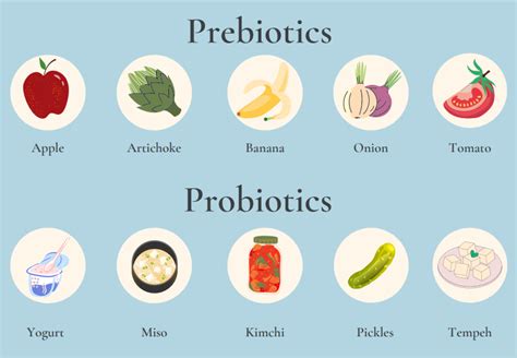 Nutrition Gut Health Series The Difference Between Probiotics And