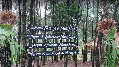 Rute Dan Lokasi Bukit Salju Ngetos Nganjuk Travelandword