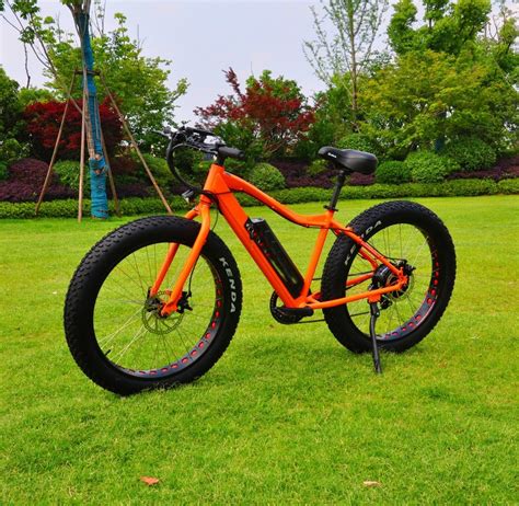 Inch Fat Tire Electric Bike Snow Beach Cruiser Electrical Bicycle