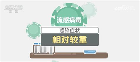 如何区分流感、新冠和合胞病毒？如何科学应对？专家详细解读深圳新闻网