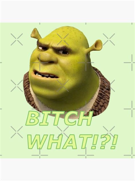 "Confused Shrek" Poster by GarfieldsLitter | Redbubble