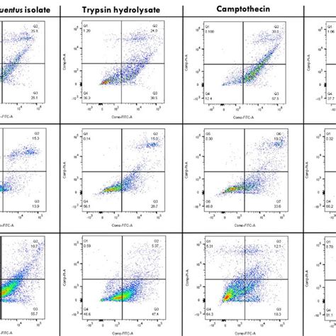 Cell Viability Of Mcf 7a A549 B And Hek 293 C Cell Lines