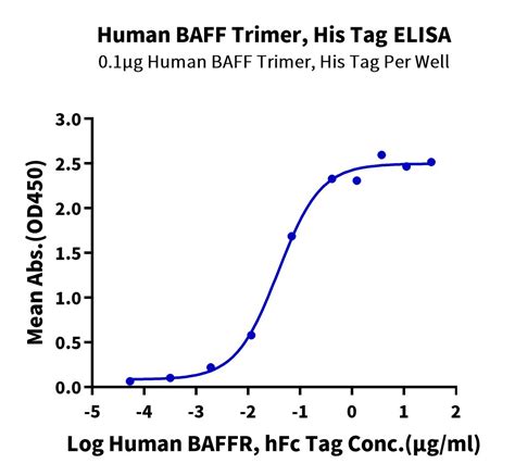 Human Baff Tnfsf B Cd Trimer Protein Baf Hm Kactus