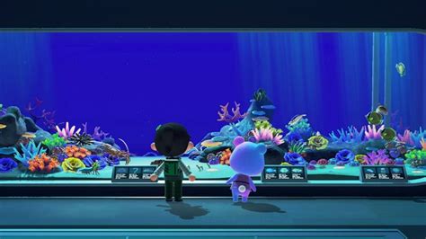 Animal Crossing New Horizons Judy At Museum Aquarium Animal Crossing