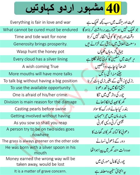 40 Common English Proverbs With Urdu Translation English Vocabulary