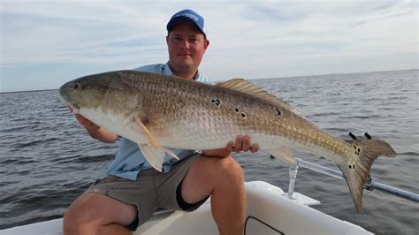 Giant Bull Red Drum Fishing On The Pamlico Sound Youtube