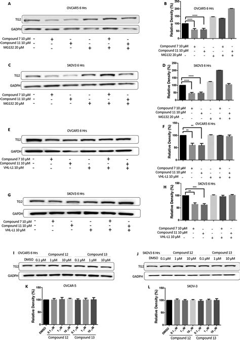 Discovery And Characterization Of Protacs Targeting Tissue