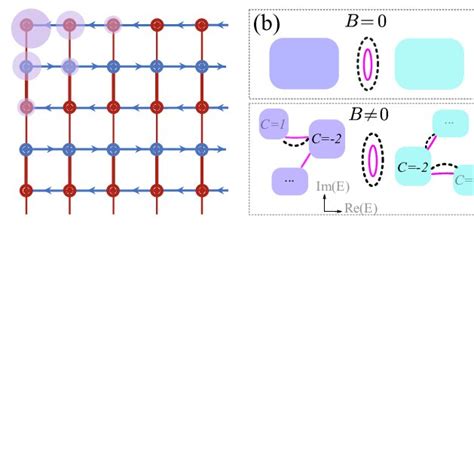 A Schematic Of The Model In Eq With Obc In X And Y Directions