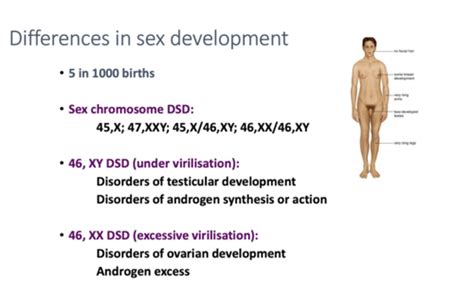 Endocrine Disorders Sex Development And Adrenal Disorders Flashcards Quizlet