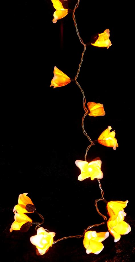 Exotische Blüten LED Lichterkette Chiang Mai 20 Stk Blüte orange weiß