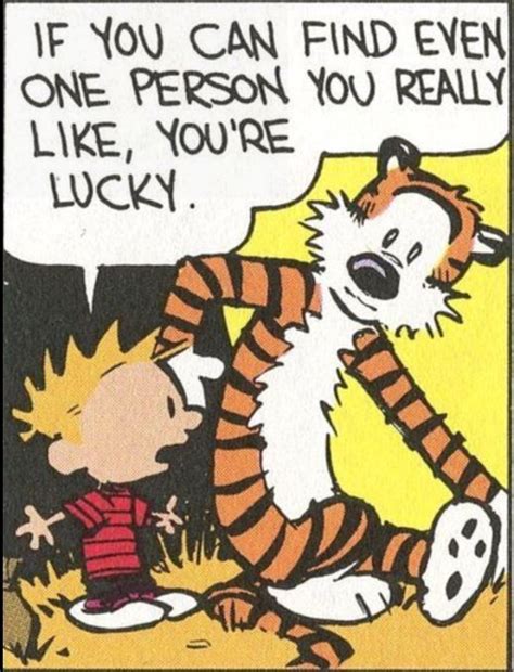 Pin On Funny Stuff In 2024 Calvin And Hobbes Quotes Calvin And