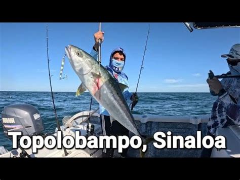 En Busca De Los Jureles De Castilla Primer Dia De Pesca En El