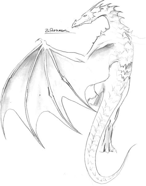 Wyvern Drawing at GetDrawings | Free download