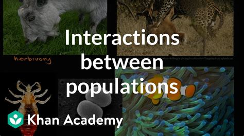 Interactions Between Populations Ecology And Natural Systems High School Biology Khan