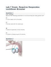 Reproductive System Lab Exam With Respondus LockDown Browser Course Hero