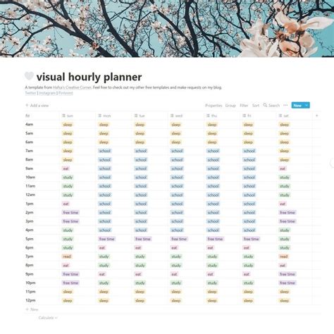 Free Visual Hourly/Daily Planner Notion Template