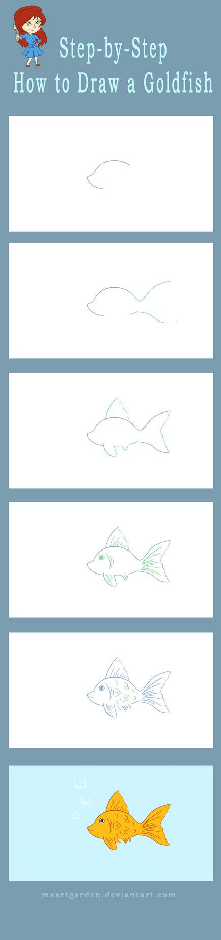 Step-By-Step How to Draw a Goldfish by MsArtGarden on DeviantArt