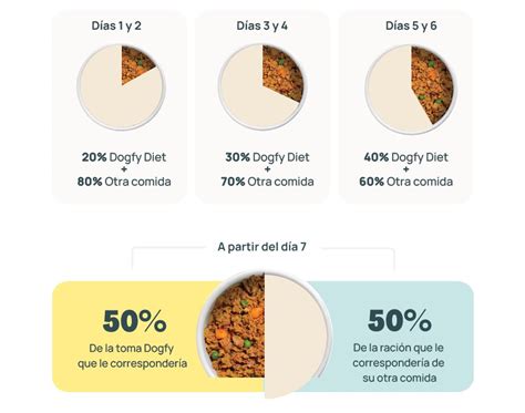 La dieta mixta en perros una combinación perfecta para su alimentación