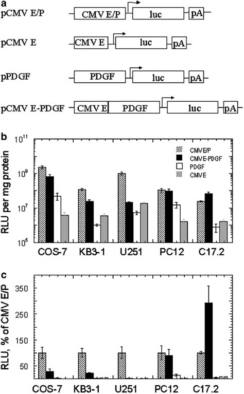 Activities Of Four Different Regulatory Elements In Cultured Cells A