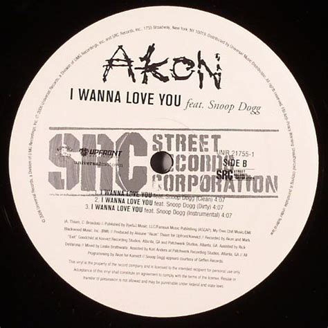 AKON I Wanna Love You vinyl at Juno Records.