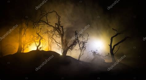 Espeluznante Paisaje Oscuro Que Muestra Siluetas De Rboles En El