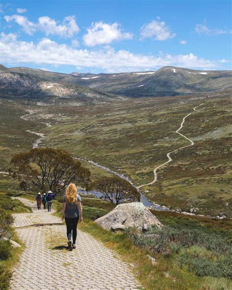 Hiking The Spectacular Main Range Track To The Summit Of Mount