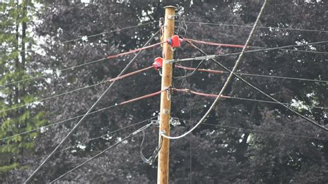 Folgorato Mentre Lavorava Su Un Palo Della Luce Grave Un Operaio