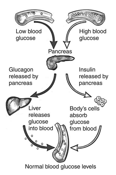 What Is Achs Blood Sugars