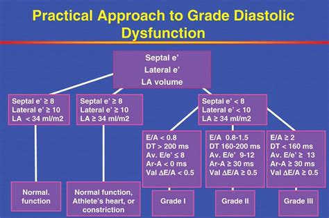 Diastolic dysfunction | Pharmacology nursing, Nursing school survival ...