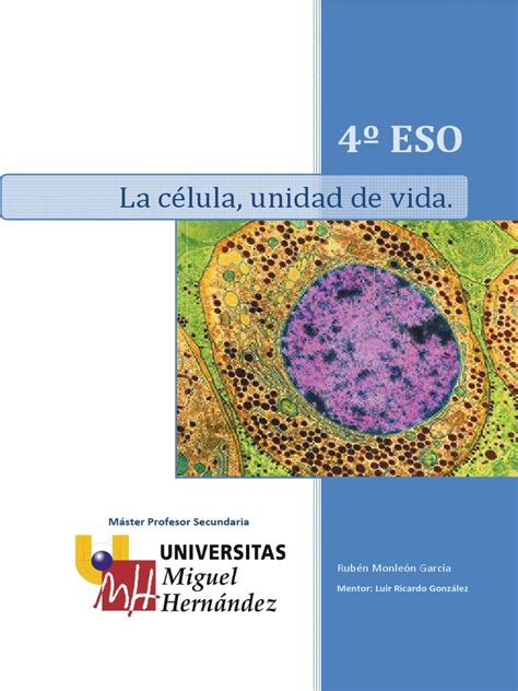 Unidad Didáctica La Célula 4º Eso Pdf Mitosis Biología Celular